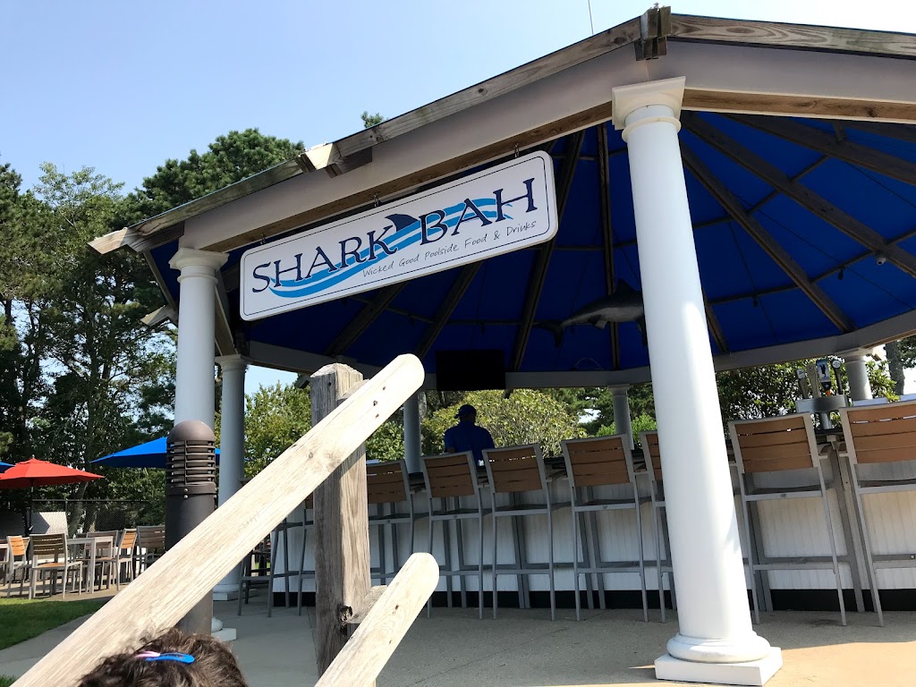 Shark Bah 02631