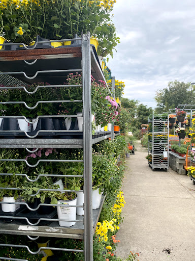 Home Improvement Store «The Home Depot», reviews and photos, 816 Hartford Turnpike, Waterford, CT 06385, USA