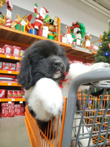 Home Improvement Store «The Home Depot», reviews and photos, 4501 1st Ave SE, Cedar Rapids, IA 52403, USA