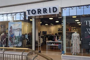 Torrid image