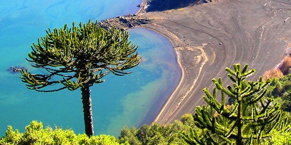 Camino P.N.Conguillío Km 16 Sector Laguna Verde a 200 mts, R-925-S, Melipeuco, Araucanía, Chile