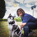 Photo n°2 de l'avis de ATHENA.O fait le 12/07/2018 à 10:50 sur le  Hotel Villa Montegranelli à Gubbio