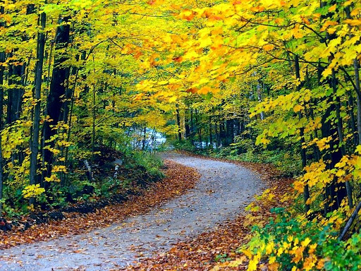 7579 Alexandria Pike, Alexandria, KY 41001, USA