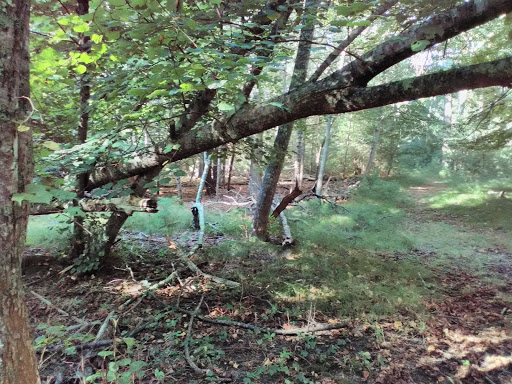 Golf Club «Pocasset Golf Club», reviews and photos, Club House Dr, Pocasset, MA 02559, USA