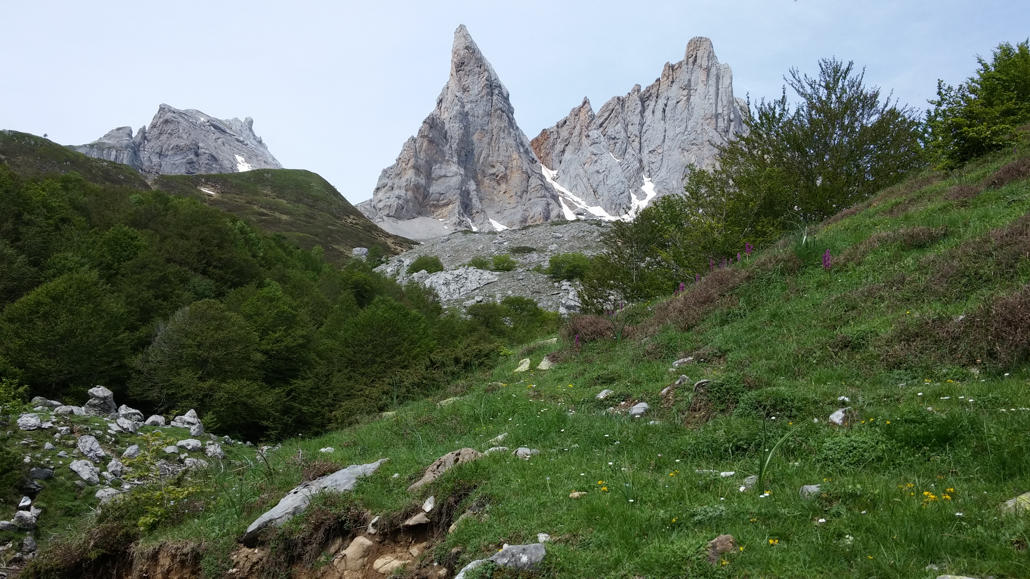 Photo n° 1 de l'avis de Bruno.o fait le 24/06/2018 à 05:21