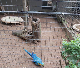 Umgeni River Bird Park photo