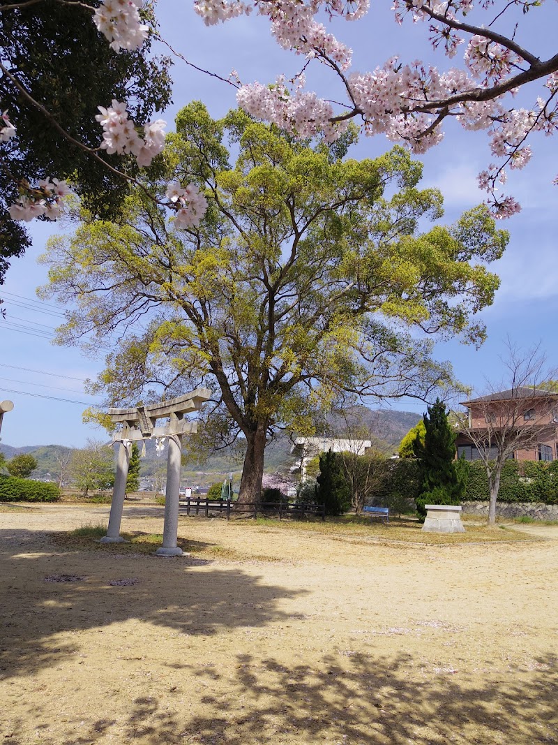楠尾神社の御神木