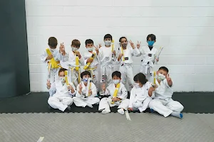 JFR Taekwondo image