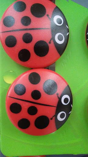 Grocery Store «Market Basket», reviews and photos, 399 John Fitch Hwy, Fitchburg, MA 01420, USA