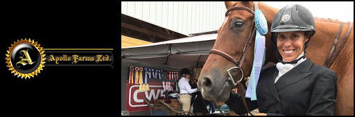 Horse Trainer «Apollo Farms Ltd.», reviews and photos, 3070 Summer Mountain Rd, Palmerton, PA 18071, USA