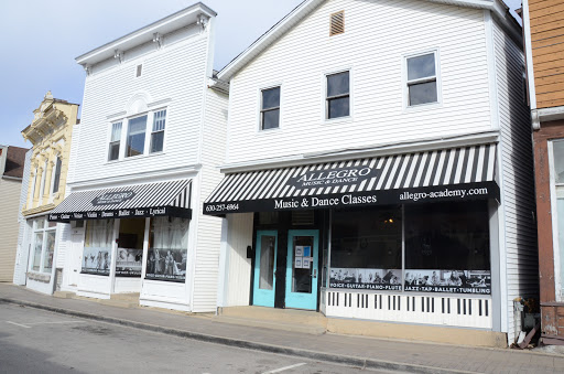 Music School «Allegro Music and Dance Academy», reviews and photos, 315 Canal St, Lemont, IL 60439, USA