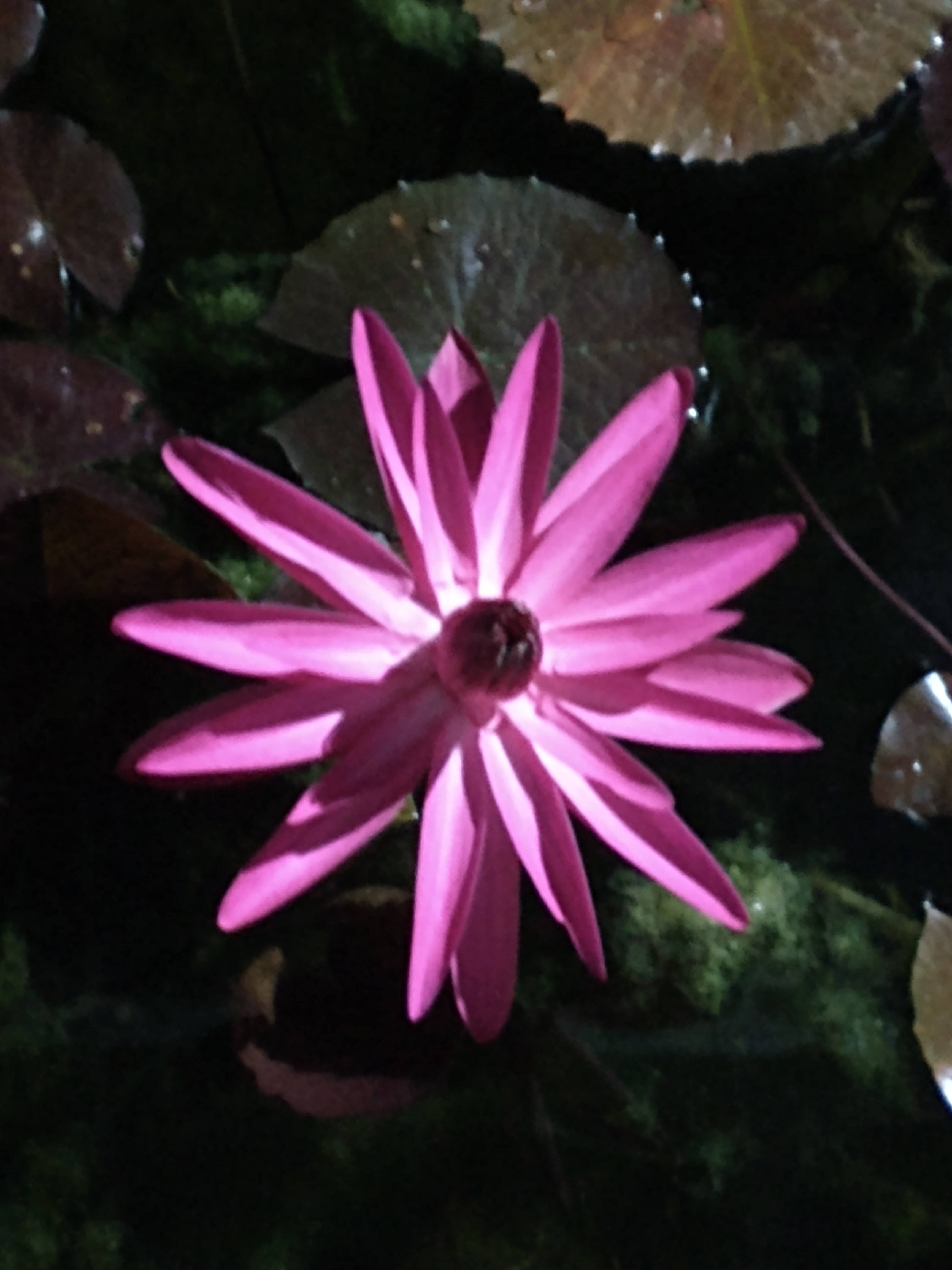 Photo n° 3 de l'avis de iga.e fait le 31/07/2023 à 18:00