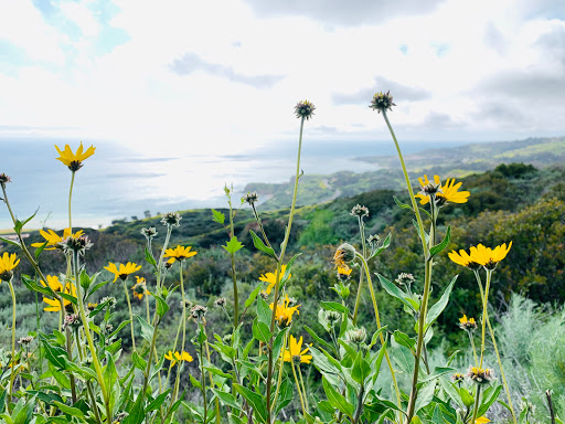 Nature Preserve «Forrestal Nature Reserve», reviews and photos, 32201 Forrestal Dr, Rancho Palos Verdes, CA 90275, USA