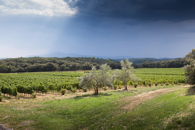 A Wine Affair à Uzès