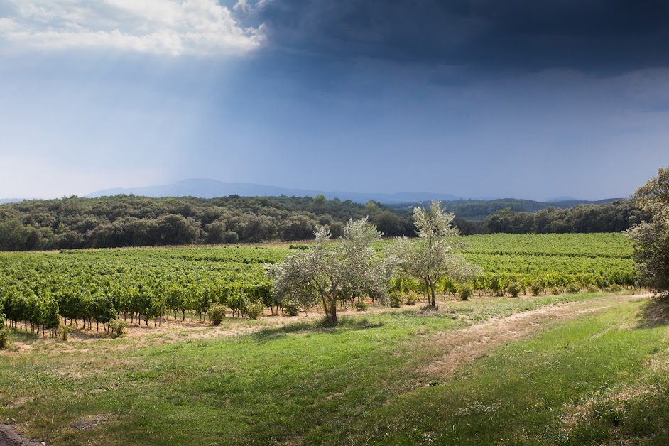 A Wine Affair à Uzès