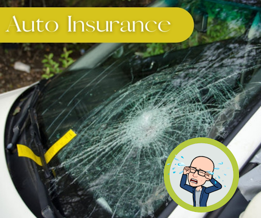 Insurance Agency «Fit Insurance», reviews and photos