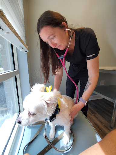 On Point Animal Hospital Surfside image