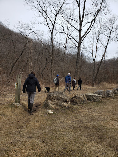 Coffee Shop «Driftless Cafe», reviews and photos, 118 W Court St, Viroqua, WI 54665, USA