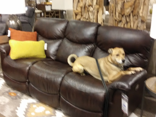 Furniture Store «La-Z-Boy Furniture Galleries», reviews and photos, 10900 Fairfax Blvd, Fairfax, VA 22030, USA