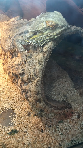 Pet Supply Store «Coastside Critters Pet Supply», reviews and photos, 454 Manor Plaza, Pacifica, CA 94044, USA