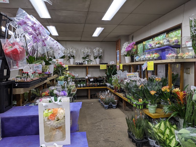 ワールドフラワー 梶が谷店 神奈川県川崎市高津区下作延 花屋 花 グルコミ