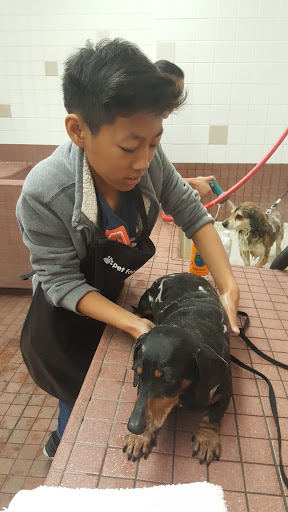 Pet Supply Store «Pet Food Express», reviews and photos, 39010 Paseo Padre Pkwy, Fremont, CA 94538, USA