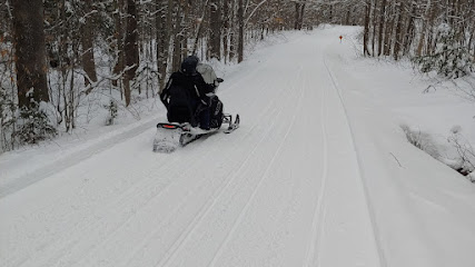 Northern Extremes Snowmobile Rentals