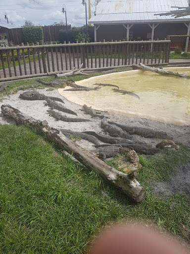 Theme Park «Fun Spot America Theme Parks-Orlando», reviews and photos, 5700 Fun Spot Way, Orlando, FL 32819, USA