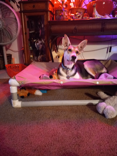 Animal Shelter «Oregon Humane Society», reviews and photos