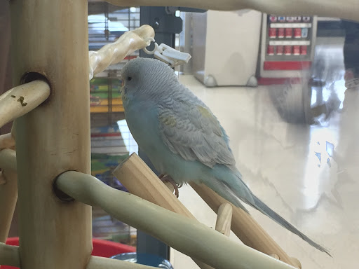 Pet Supply Store «Petco Animal Supplies», reviews and photos, 852 N Western Ave, San Pedro, CA 90732, USA