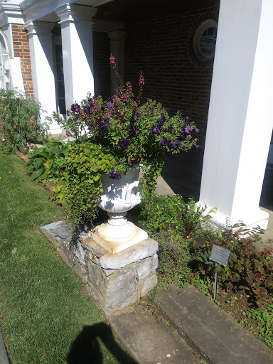 Winery «Big Cork Vineyards», reviews and photos, 4236 Main St, Rohrersville, MD 21779, USA