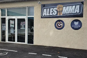Alès MMA image