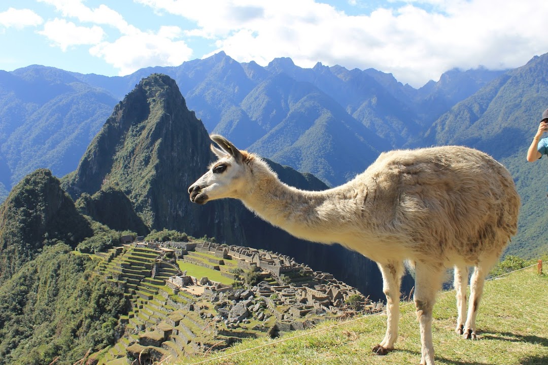 Peru Wonder Travel