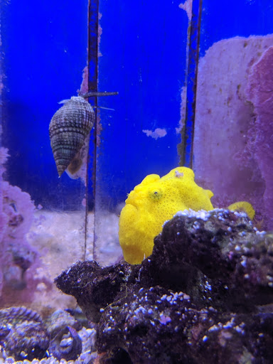 Pet Store «Fin-N-Feather», reviews and photos, 2931 F St, Eureka, CA 95501, USA