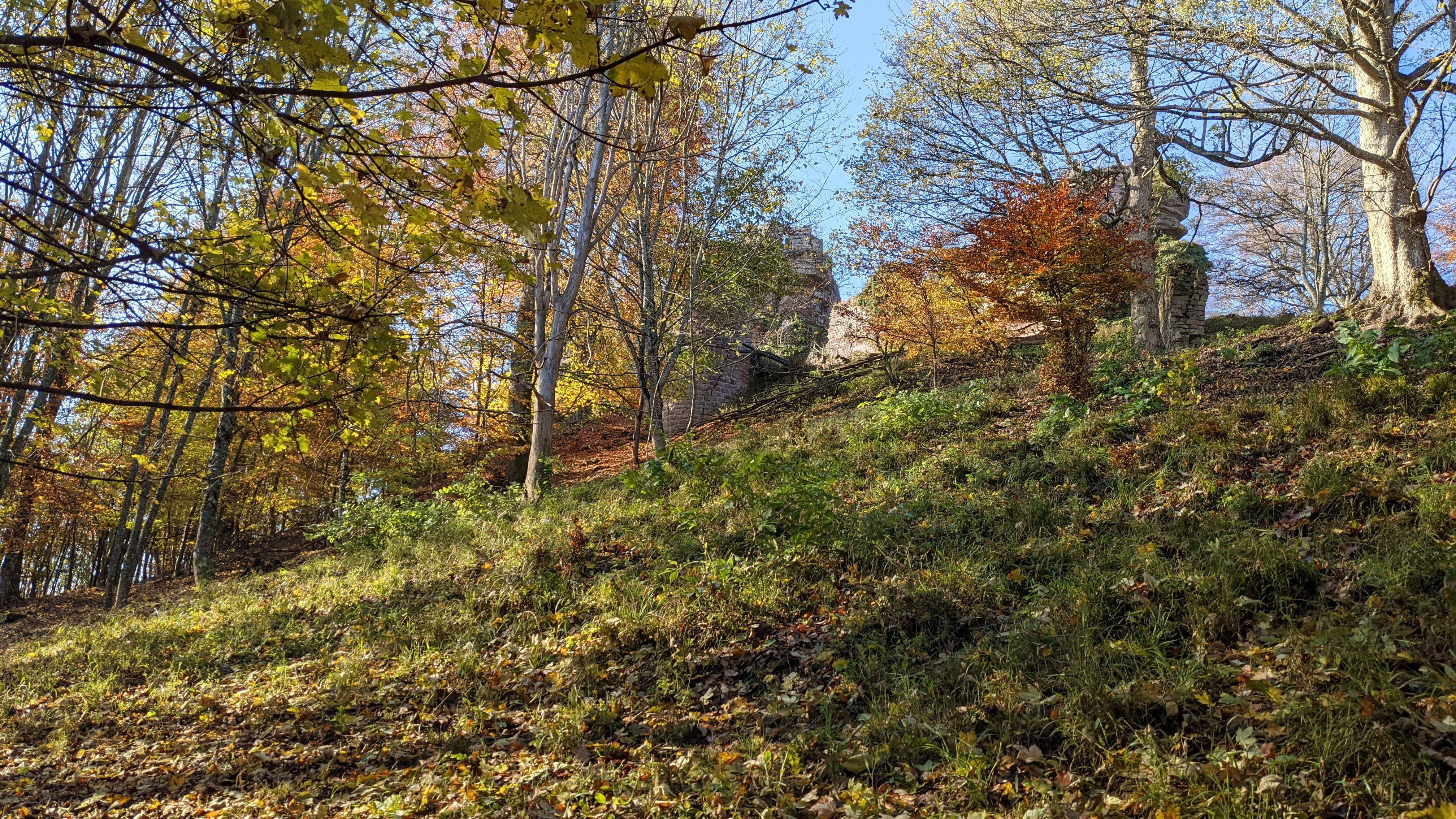 Photo n° 7 de l'avis de Frederic.l fait le 12/11/2021 à 14:20