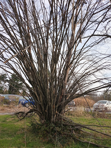 County Government Office «Oregon Ridge Nature Center», reviews and photos, 13555 Beaver Dam Rd, Cockeysville, MD 21030, USA