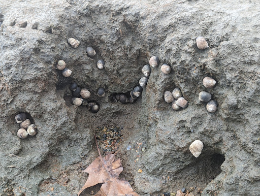 Park «Obear Park», reviews and photos, 145 Livingstone Ave, Beverly, MA 01915, USA