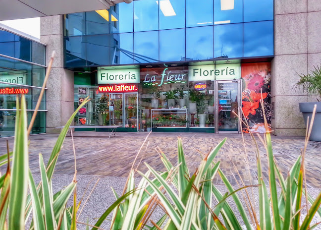 Florería La Fleur - Envío de Flores y Regalos en Montevideo