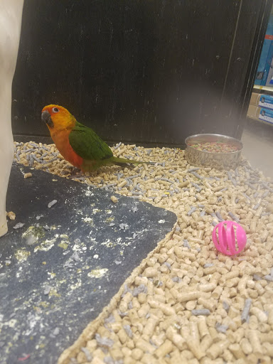Pet Supply Store «PetSmart», reviews and photos, 2122 N 2nd St, Millville, NJ 08332, USA