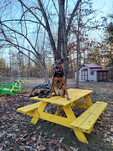 Dog Trainer «Off Leash K9 Training, Charlottesville», reviews and photos, 8782 Seminole Trail, Ruckersville, VA 22968, USA