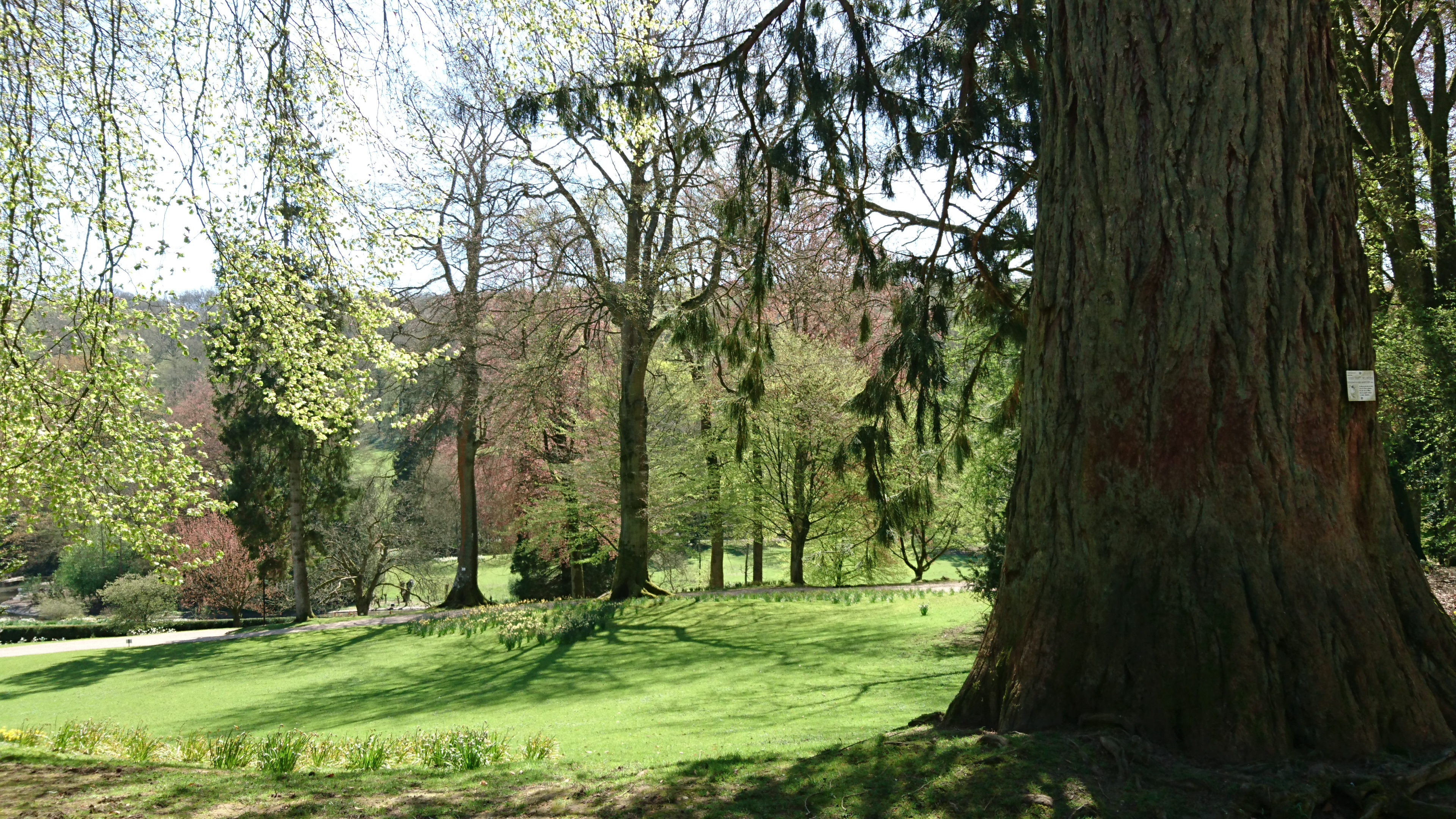 Photo n° 12 de l'avis de Pascale.o fait le 18/04/2018 à 14:11