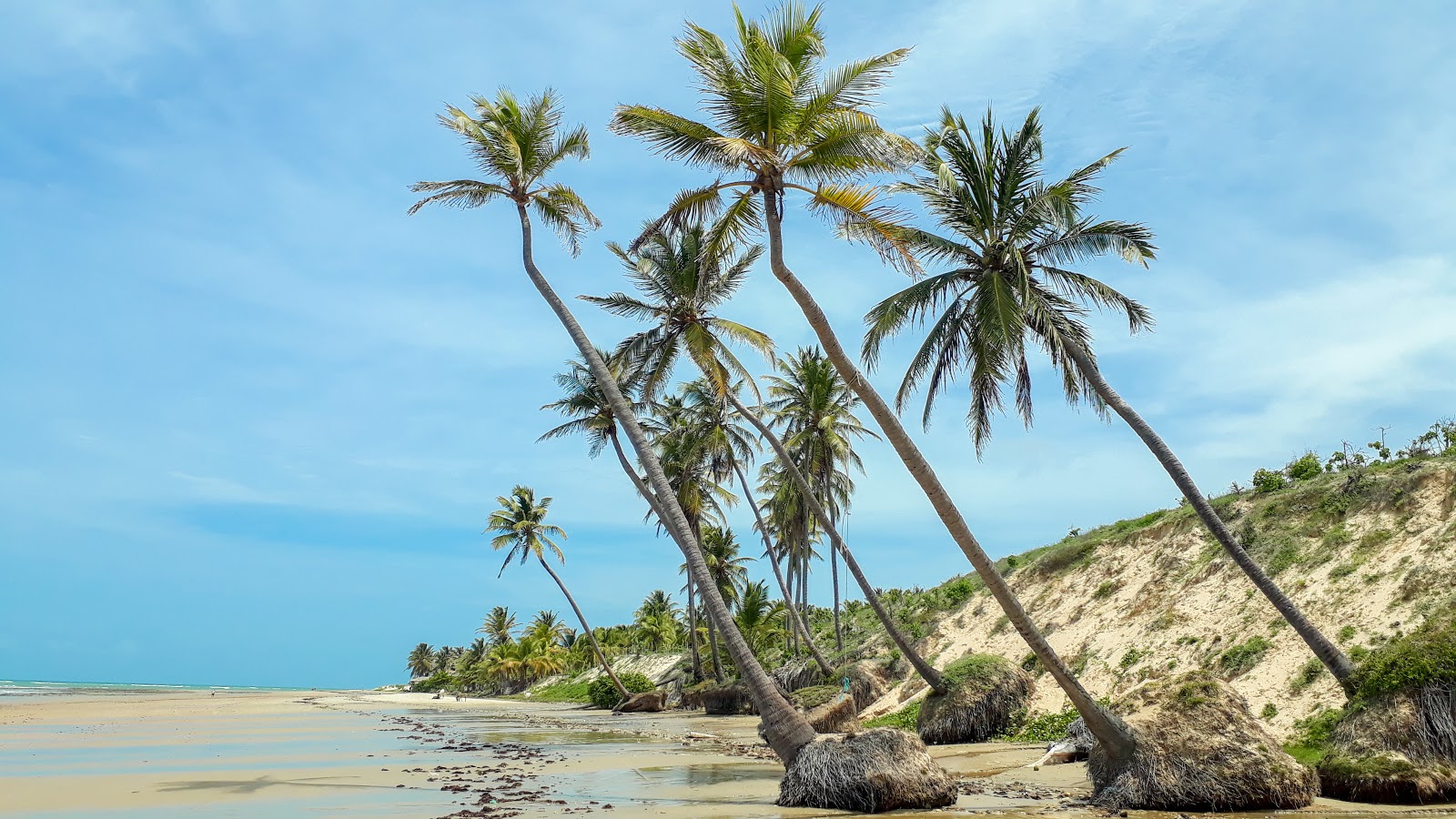 Foto von Praia do Jiqui em Caetanos mit beiger sand Oberfläche
