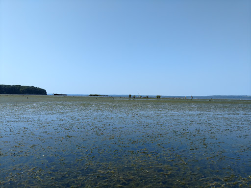 Tourist Attraction «Mallows Bay», reviews and photos, 1440 Wilson Landing Rd, Nanjemoy, MD 20662, USA