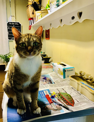 Florist «Peddles Wedding Flowers», reviews and photos, 319 N Ronald Reagan Blvd, Longwood, FL 32750, USA