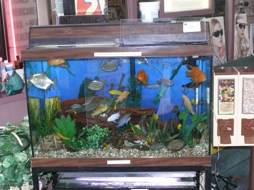 Eye Care Center «American Vision of Bayside», reviews and photos, 41-01 Bell Blvd, Bayside, NY 11361, USA