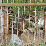 Photo n°10 de l'avis de Nancy.u fait le 05/08/2022 à 15:22 sur le  Dino Adventure Park à Weiterstadt