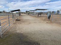 Rancho Rialto Equine Layups and Pet Sitting - Photo 2 - Car repair in Sanger, CA, Clovis