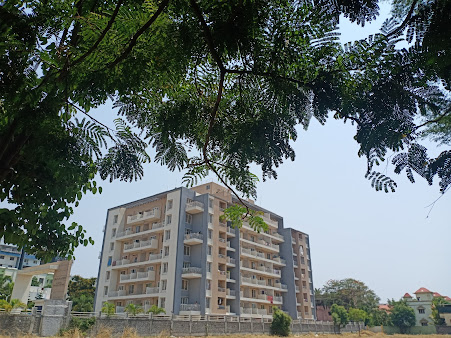 Google Maps image 10