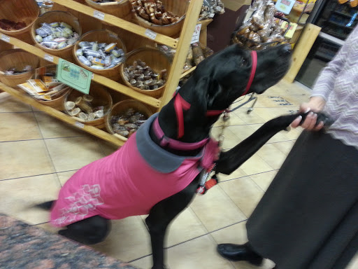 Pet Supply Store «Pet Food Gone Wild», reviews and photos, 2415 Southern Blvd SE, Rio Rancho, NM 87124, USA