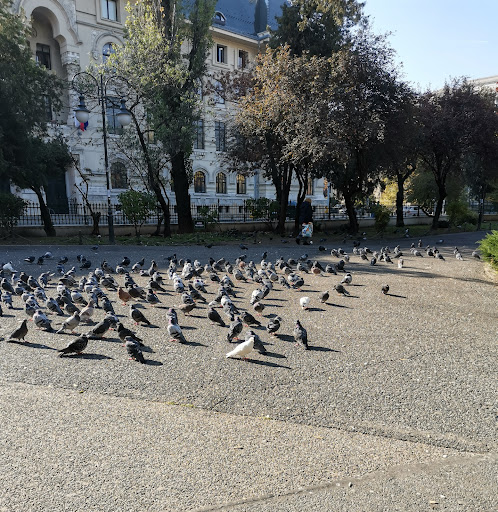 Centrul Grădinii Bucharest